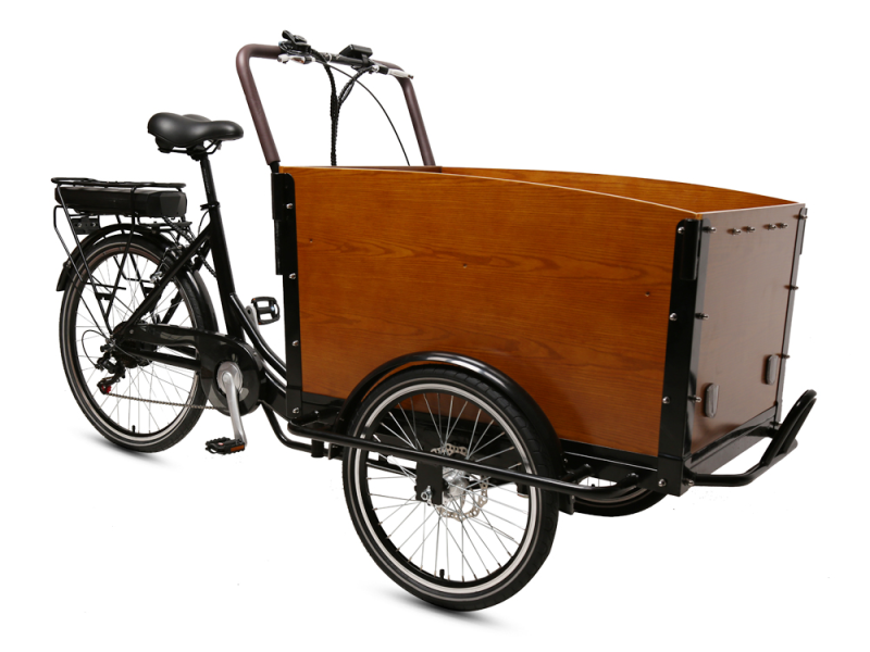 36V 250W Electric tricycle lithium battery 3 wheels electric cargo bike