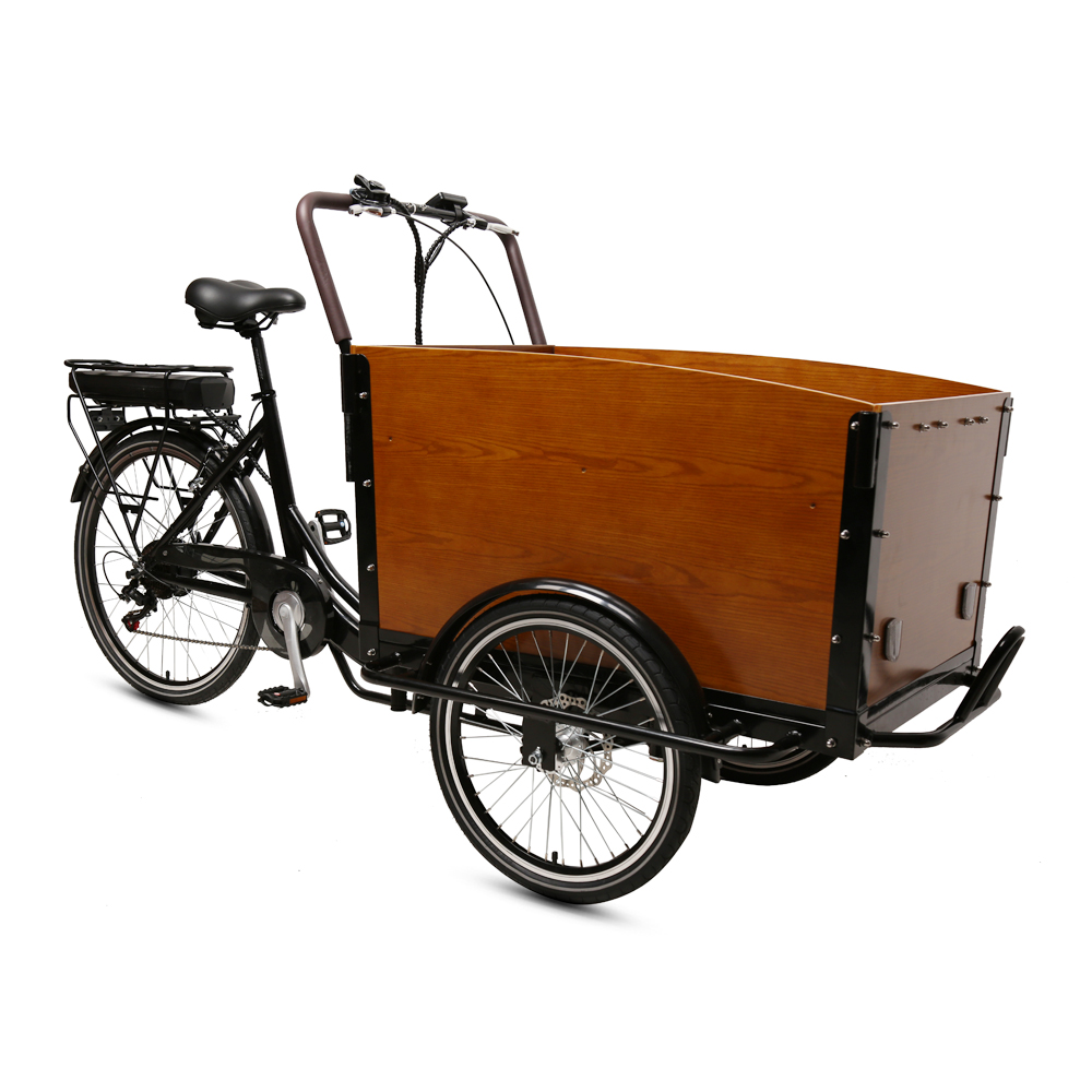 36V 250W Electric tricycle lithium battery 3 wheels electric cargo bike