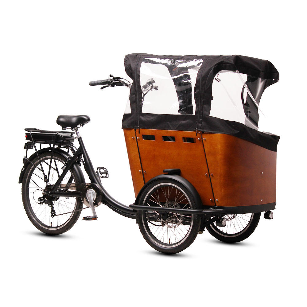 36V 250W Electric tricycle lithium battery 3 wheels electric cargo bike