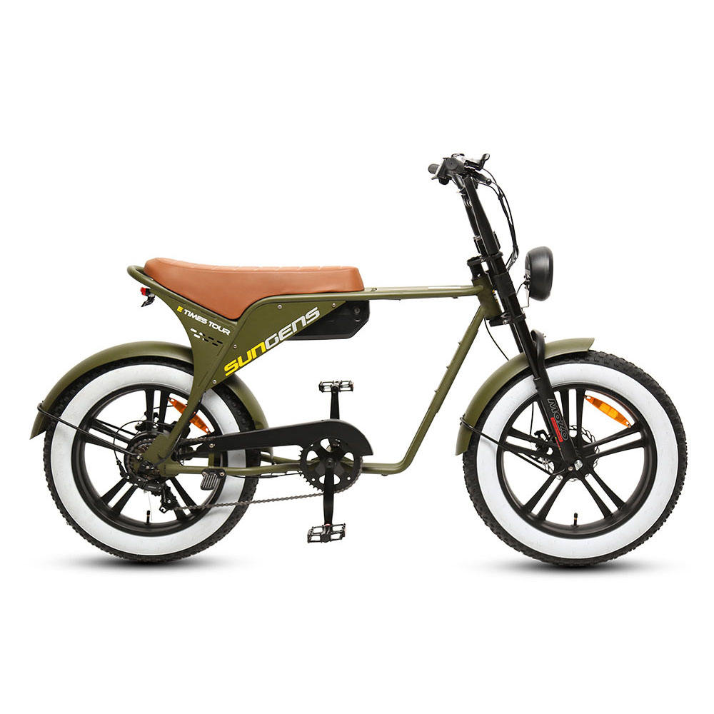 36V 250W cheap motorcycles electric bike Single speed 13Ah Lithium battery 20 inch electric motor bike