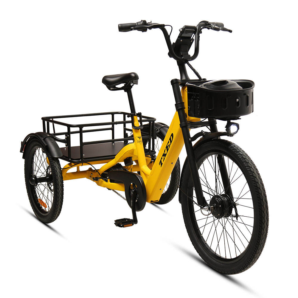 Smiletoclimb  36V 250W Electric sharing cargo bike Single Speed Electric shared tricycle for adult
