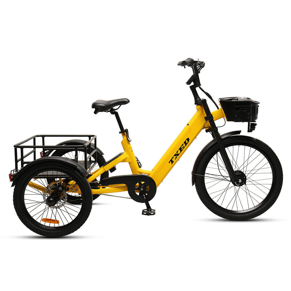 Smiletoclimb  36V 250W Electric sharing cargo bike Single Speed Electric shared tricycle for adult
