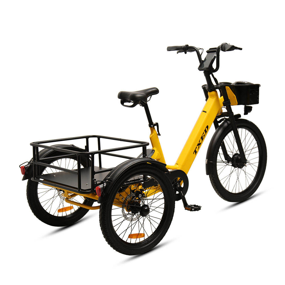 Smiletoclimb  36V 250W Electric sharing cargo bike Single Speed Electric shared tricycle for adult